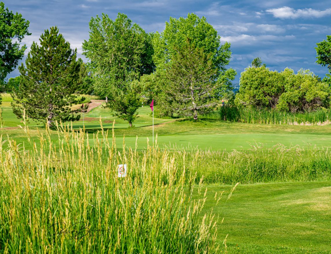 Course Photos Stoney Creek Golf Course