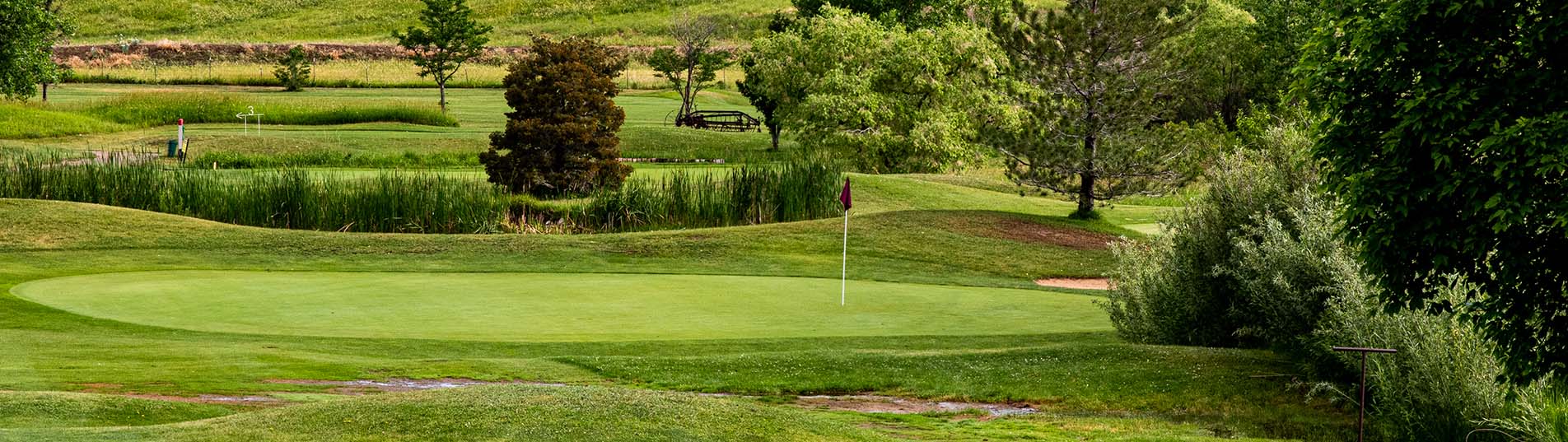 View of golf course with trees and flag in distance